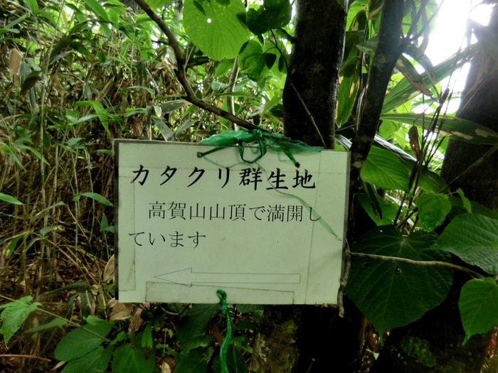 No302　越美山地東部　大展望の高賀山_b0185573_71304.jpg