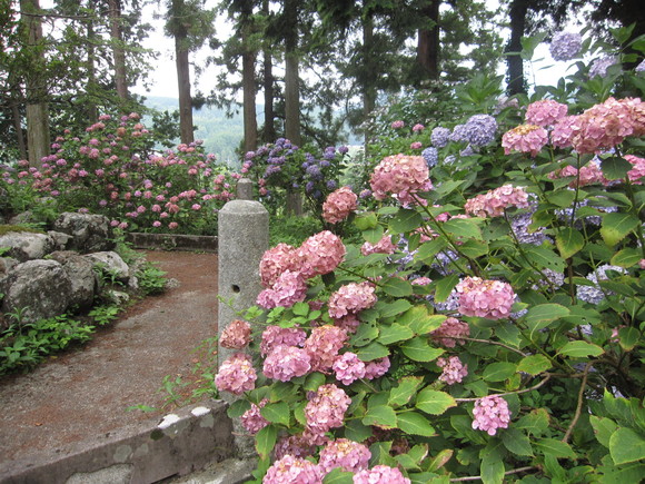 富士川町妙法寺へバスハイク_e0191174_1625141.jpg
