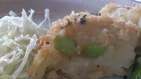 料理教室でおいしいコロッケ習ってきました。_d0182179_2115980.jpg