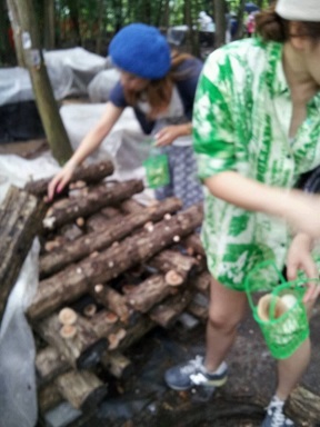 しいたけと鮎_f0202682_1620354.jpg