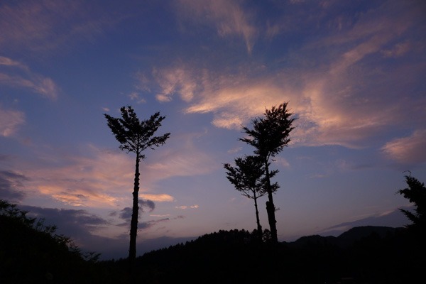 ７月３１日、　　”タラチャン雲”　ヤーーイ！_a0130586_20424717.jpg