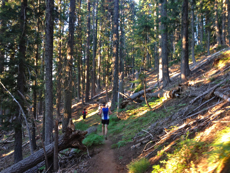 2013/07/27 Summer USA Trip Day.3 SOB(Siskiyou Out Back) 50M&50K_b0220886_4251046.jpg