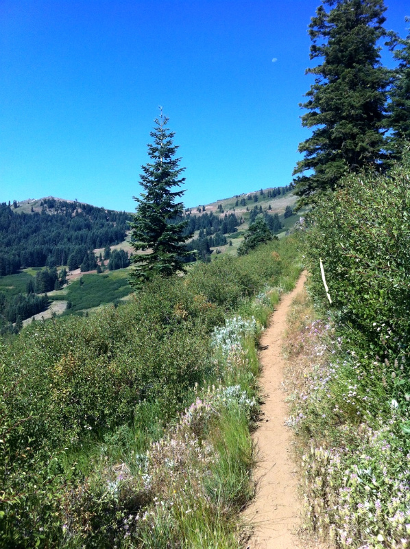 2013/07/27 Summer USA Trip Day.3 SOB(Siskiyou Out Back) 50M&50K_b0220886_4261696.jpg