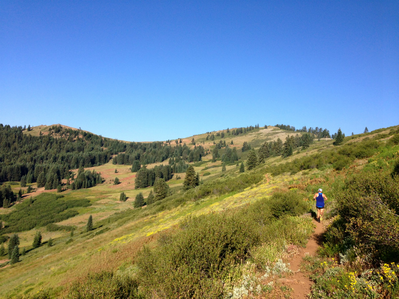 2013/07/27 Summer USA Trip Day.3 SOB(Siskiyou Out Back) 50M&50K_b0220886_4264075.jpg