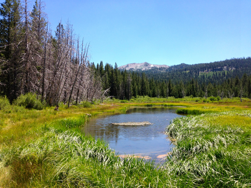 2013/07/28-29 Summer USA Trip Day.４-5 Lassen Volcanic National Park & Woody\'s Hot Springs_b0220886_61446.jpg