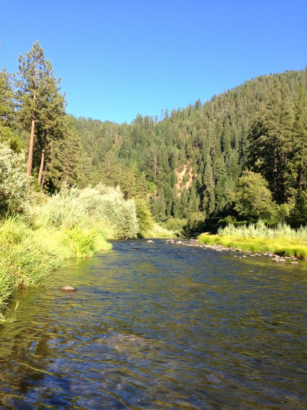 2013/07/28-29 Summer USA Trip Day.４-5 Lassen Volcanic National Park & Woody\'s Hot Springs_b0220886_616671.jpg