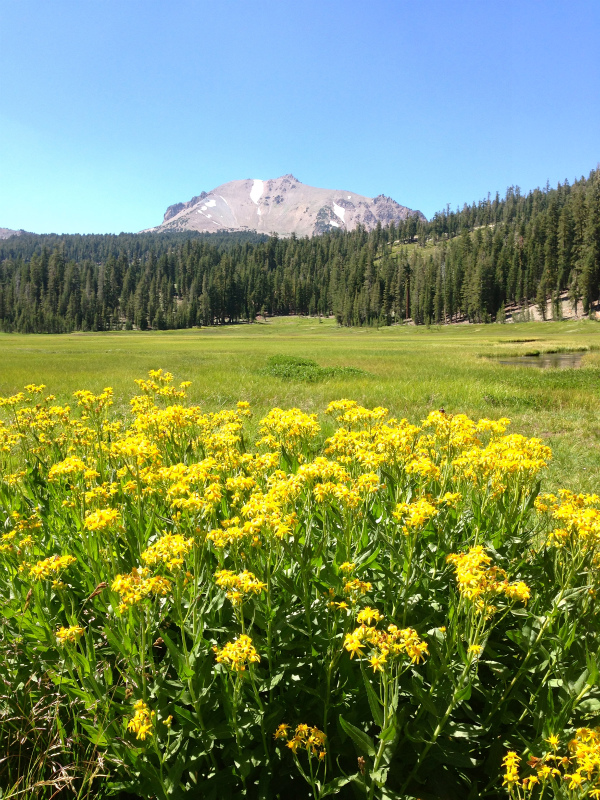 2013/07/28-29 Summer USA Trip Day.４-5 Lassen Volcanic National Park & Woody\'s Hot Springs_b0220886_623728.jpg