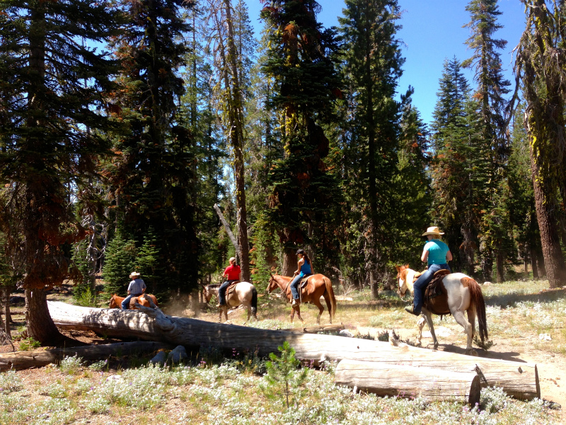 2013/07/28-29 Summer USA Trip Day.４-5 Lassen Volcanic National Park & Woody\'s Hot Springs_b0220886_62556.jpg