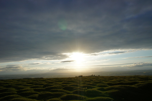 e0181286_15213237.jpg