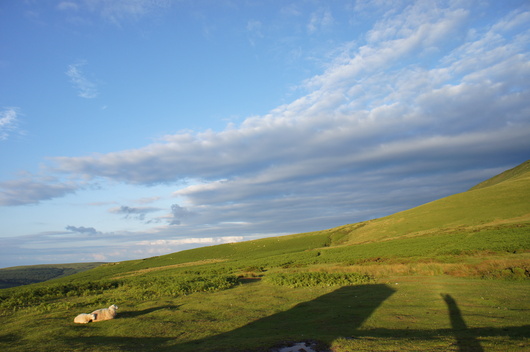e0181286_1521748.jpg