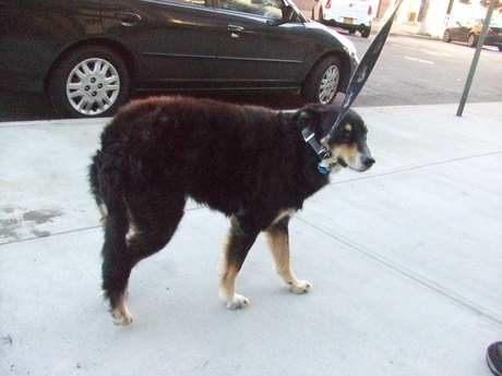 c0253487_02339.jpg