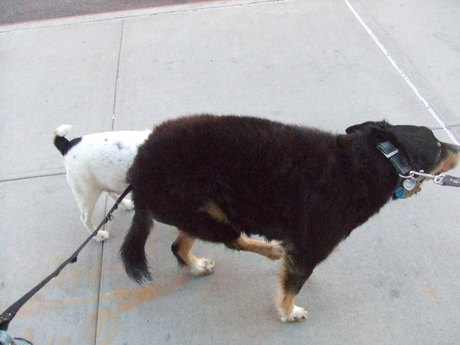 c0253487_0776.jpg
