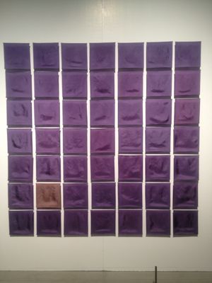「カラーハンティング展」_c0204289_147128.jpg
