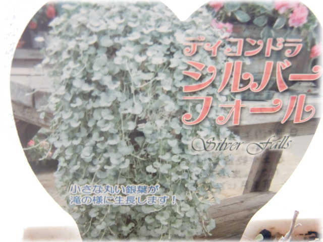 b0232891_11585991.png