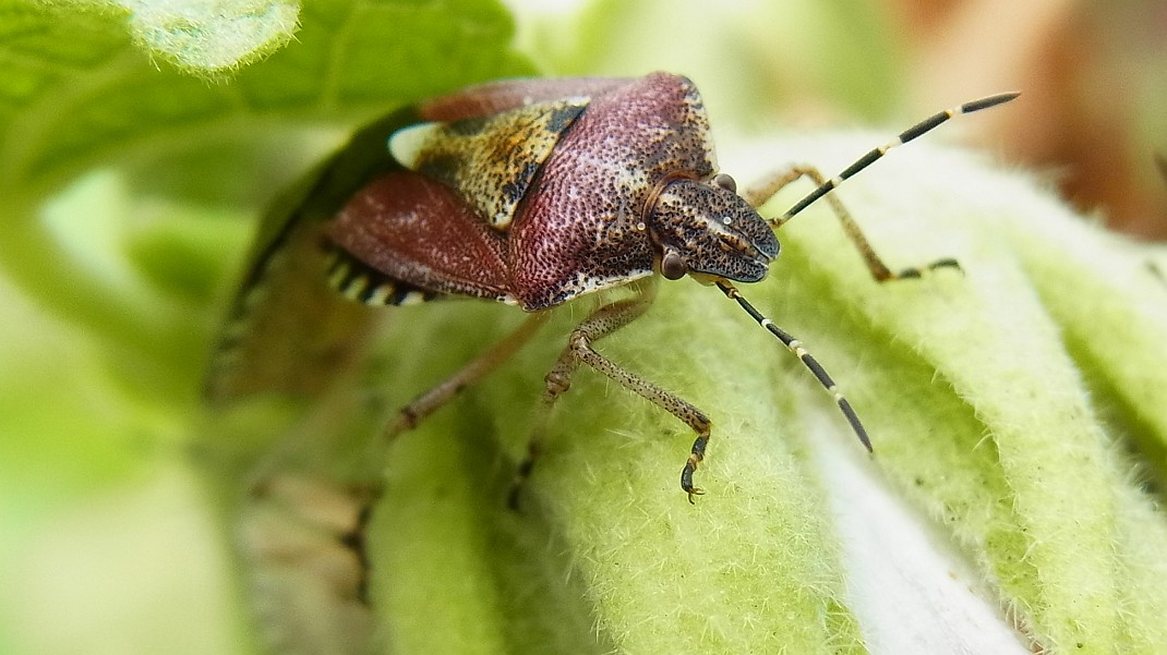 a0152692_1829113.jpg