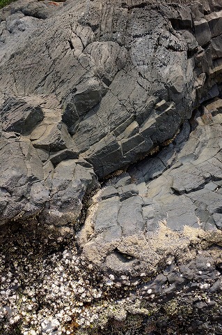 e0176993_6554868.jpg