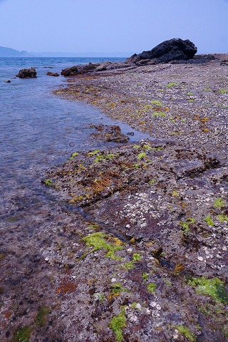 e0176993_656138.jpg