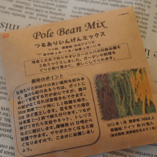 インゲンも大豊作_a0292194_17485792.jpg
