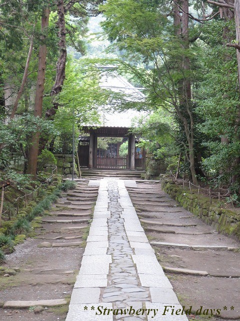c0087094_1592236.jpg