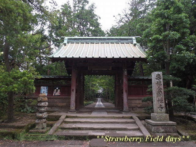 c0087094_159288.jpg