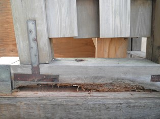 数寄屋門の修理開始_b0232198_1651710.jpg