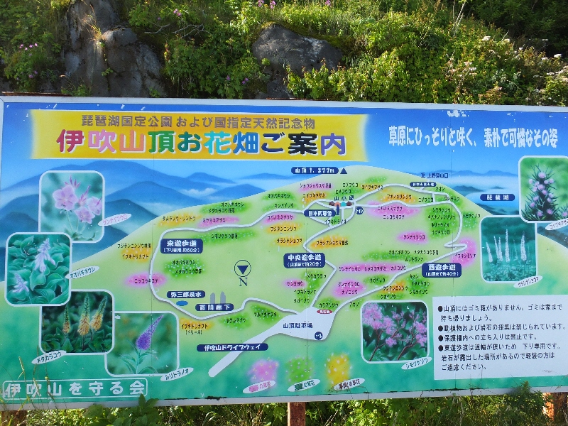 a0271502_16134342.jpg