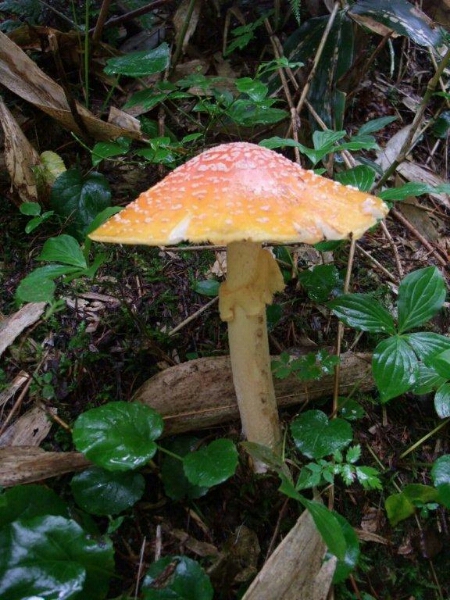 e0001906_18334177.jpg