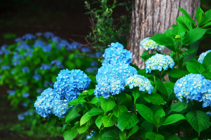 a0263109_1431129.jpg