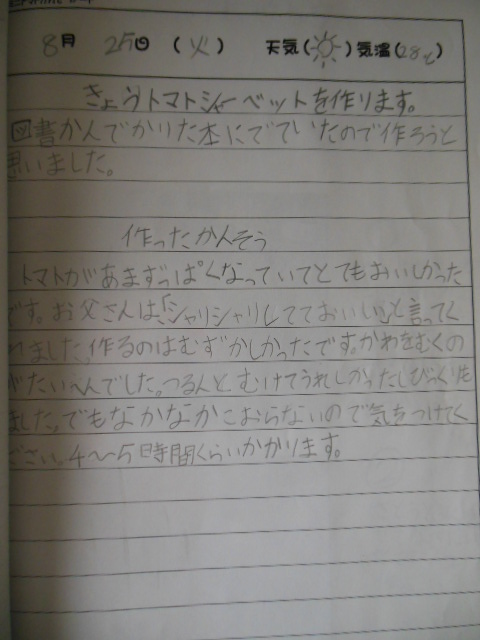 夏休みの自由研究 2 小学2年女子 Green Wire