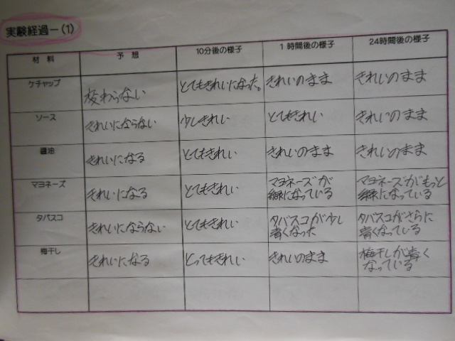 夏休みの自由研究 7 中学2年男子 Green Wire