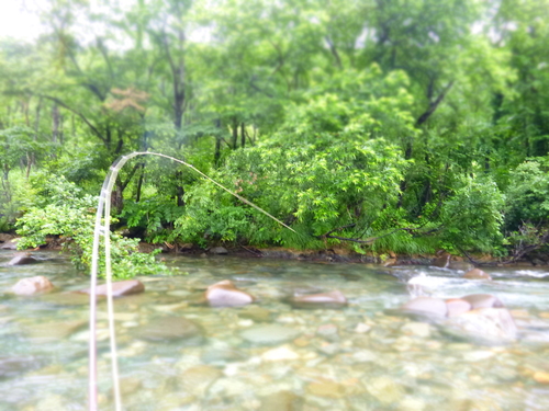 a0236914_9464030.jpg