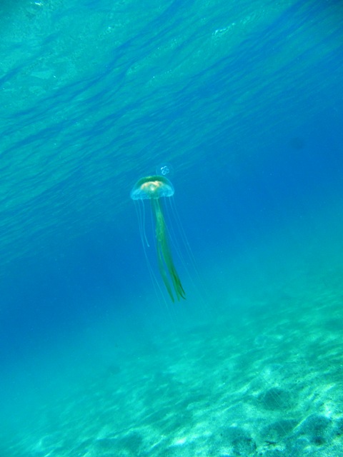 c0211615_23362845.jpg