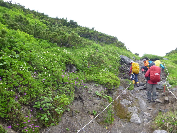 北海道登山　日本百名山　羅臼岳  (1,659.7)  に登る　_d0170615_17292490.jpg