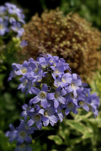 e0044929_1492642.jpg