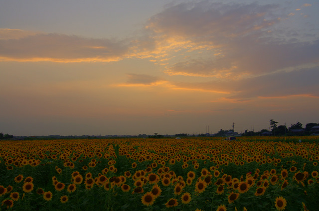 d0186245_1423478.jpg