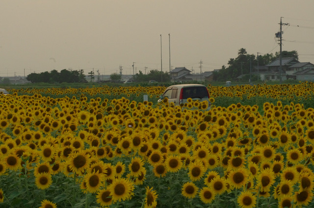 d0186245_14354538.jpg