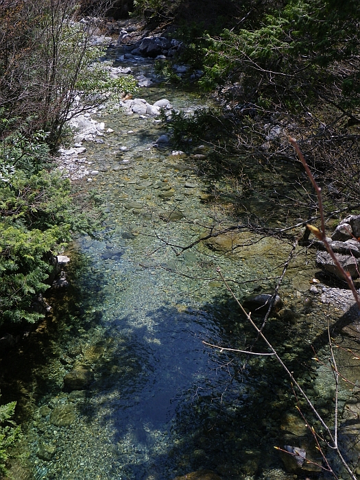 c0060452_19463782.jpg