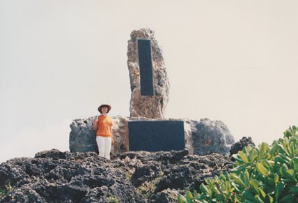 辺野古 ~ 沖縄県知事へのお手紙 ~_f0197754_13315019.jpg