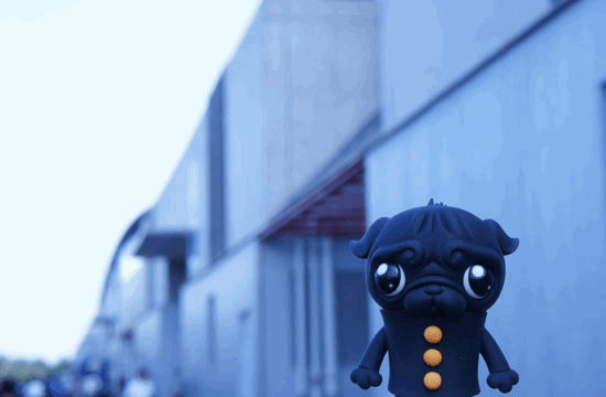 e0206358_0104896.gif