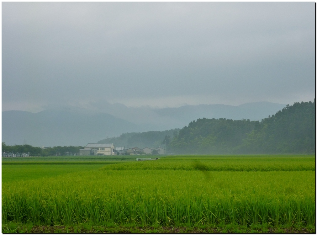 田園風景_a0240761_1352187.jpg