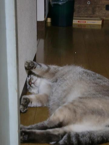 c0172261_043996.jpg