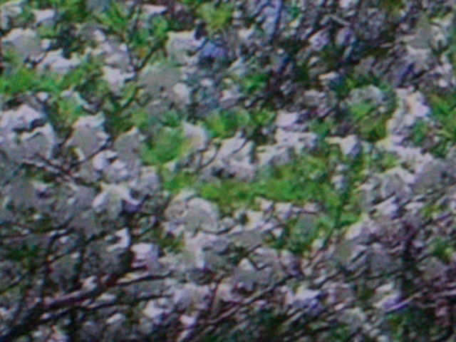 f0228664_11261850.jpg