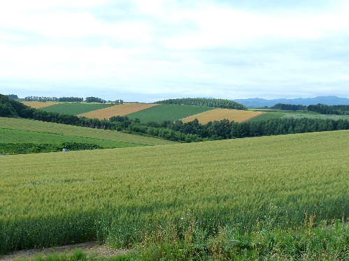 d0084473_21151777.jpg