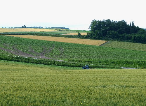 d0084473_21152434.jpg