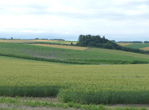 d0084473_21153344.jpg