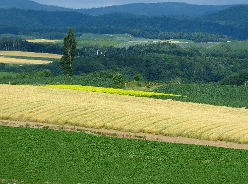 d0084473_21154193.jpg