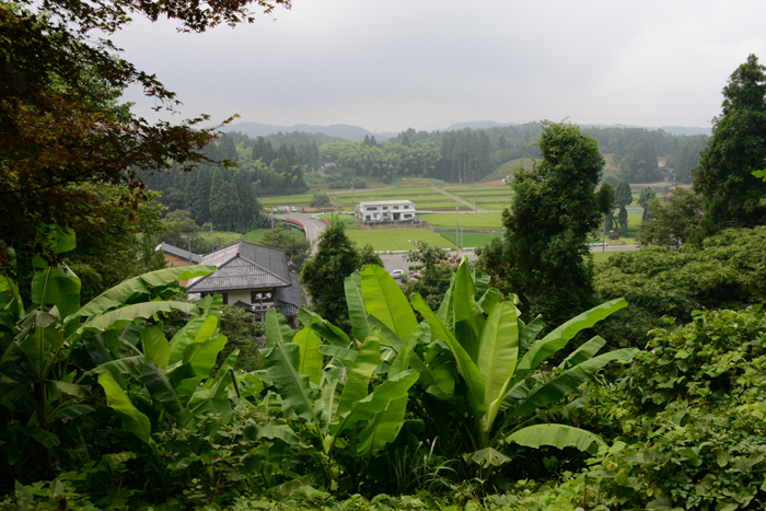 すごい珍スポット!ハニベ巌窟院_e0171573_23434944.jpg