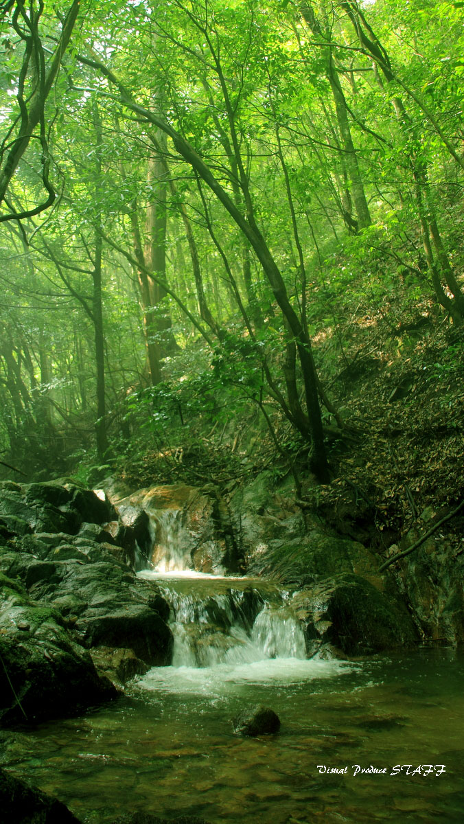 d0223176_818314.jpg