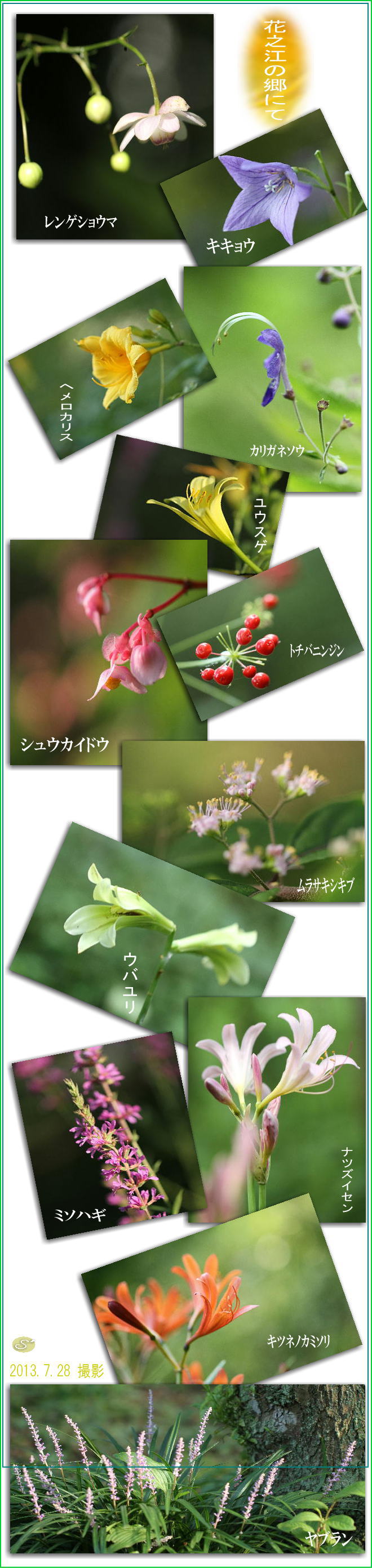 花之江の郷にて　　　　2013.8.2（金）_f0164592_20385346.jpg