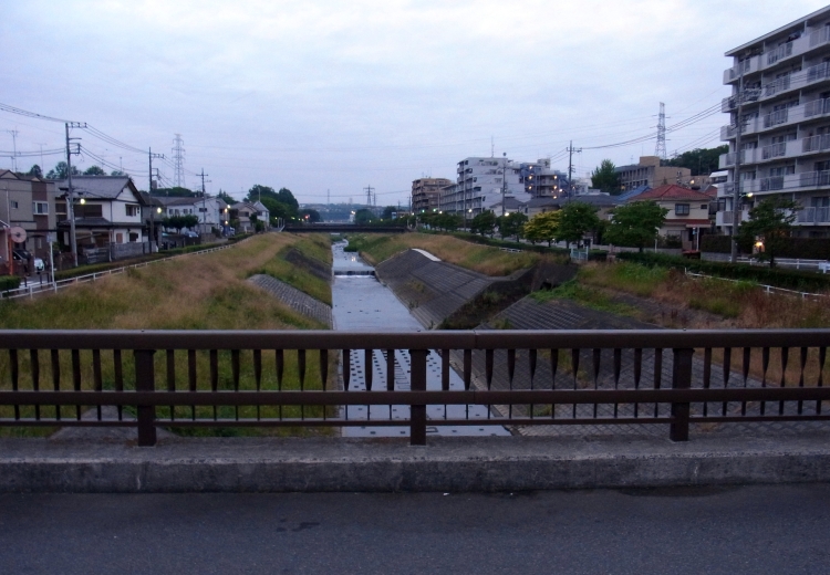鯉_c0168096_712591.jpg
